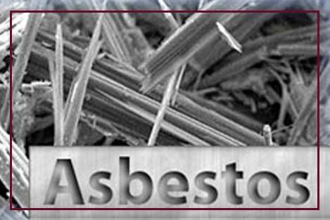Bienieks Abatement Services Logo