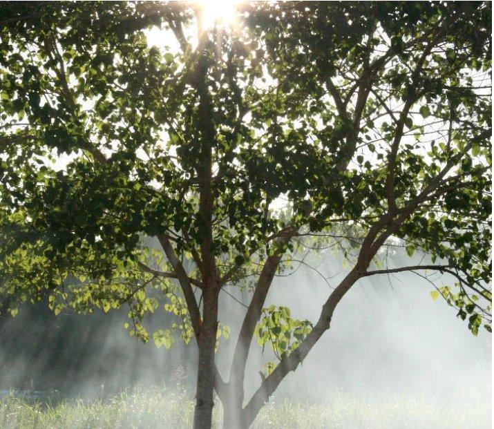 Verified Outdoor Services Image