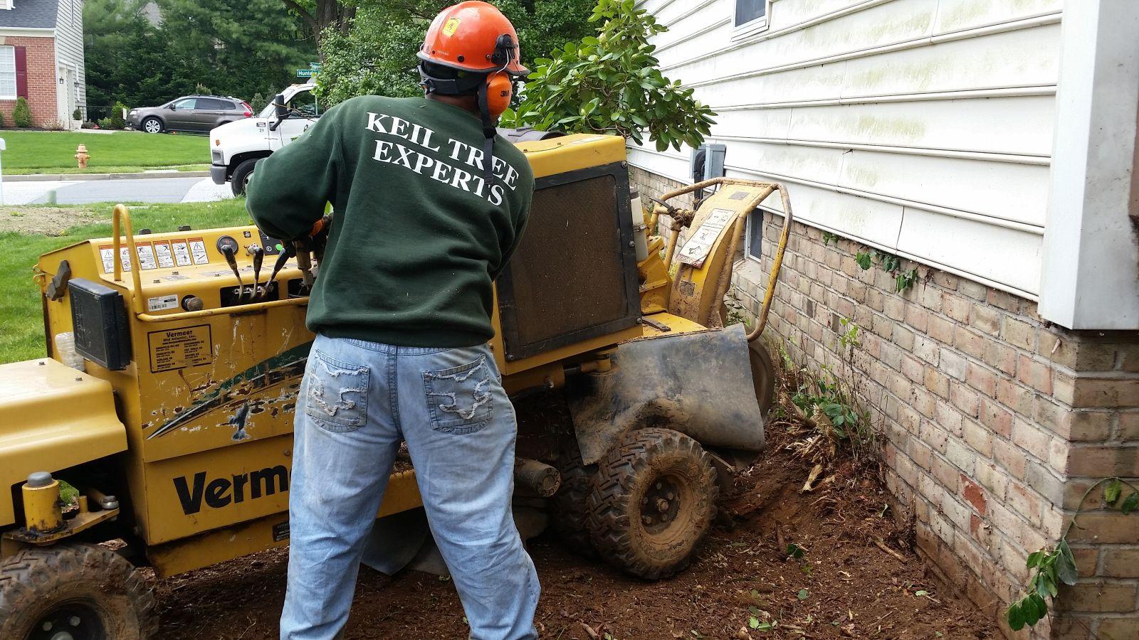 Keil Tree Experts Inc Image