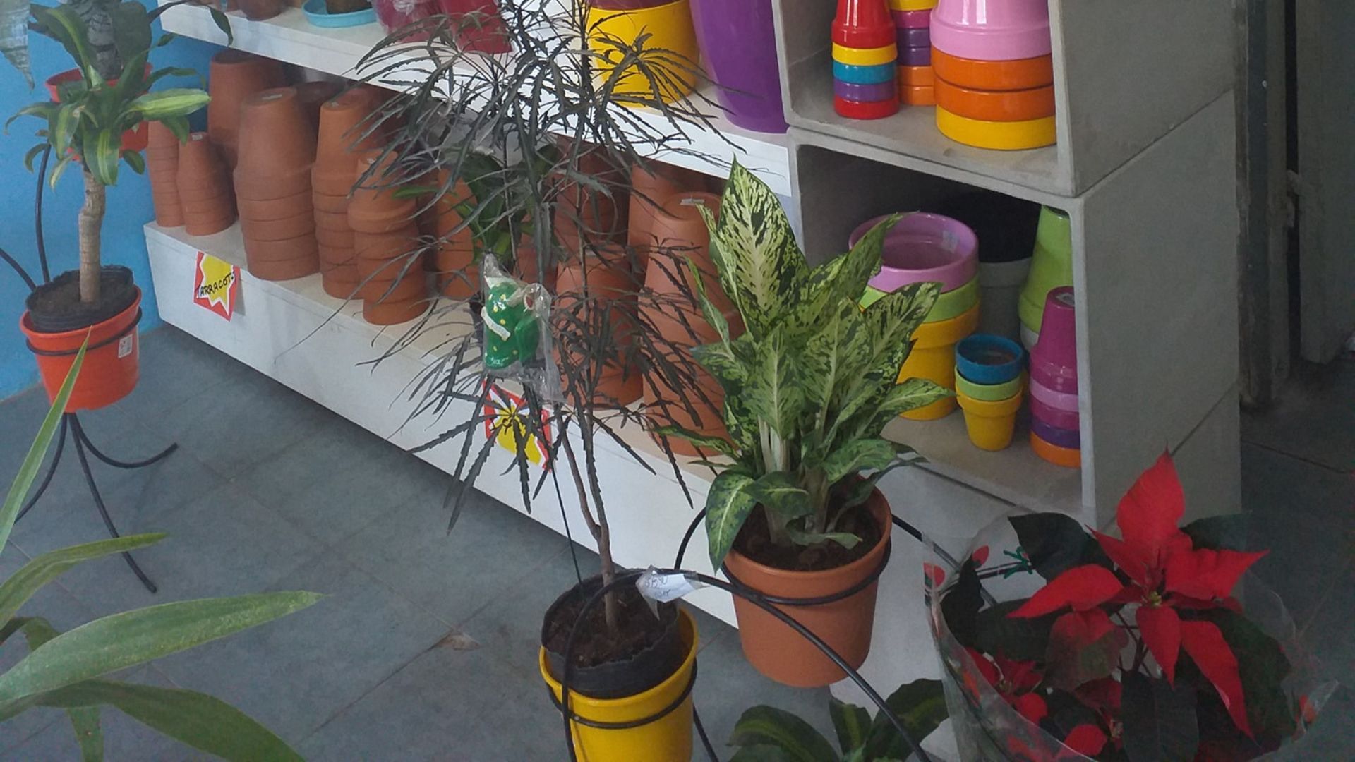 Galería en miniatura