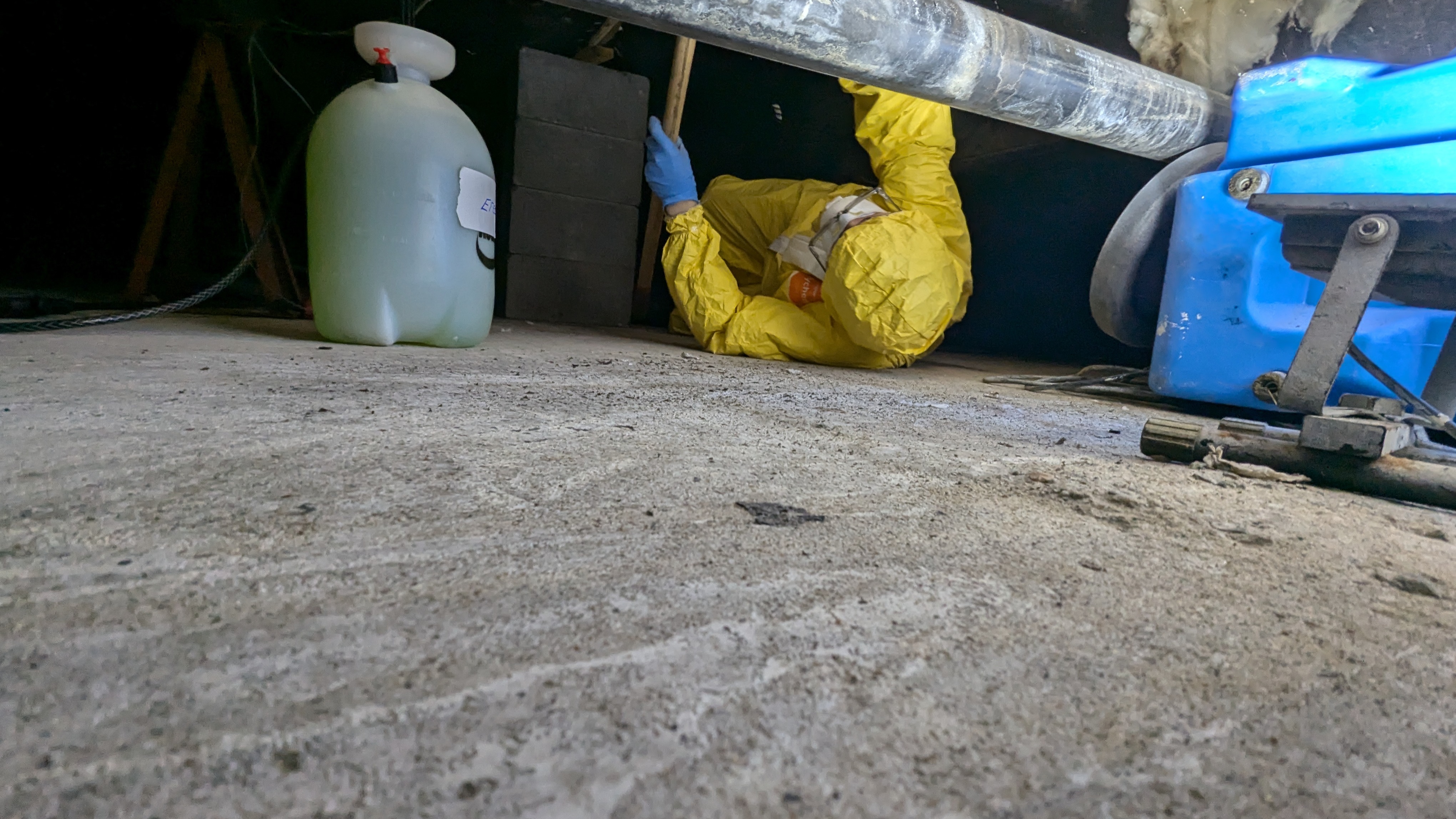 Advanced Restoration and Cleaning Image