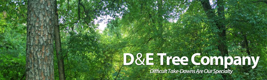 D & E Tree Company Inc. Photo