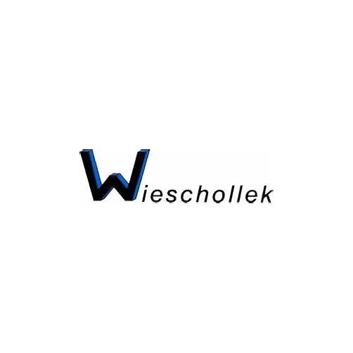 Logo von Wieschollek Rohr-Kanalsanierung