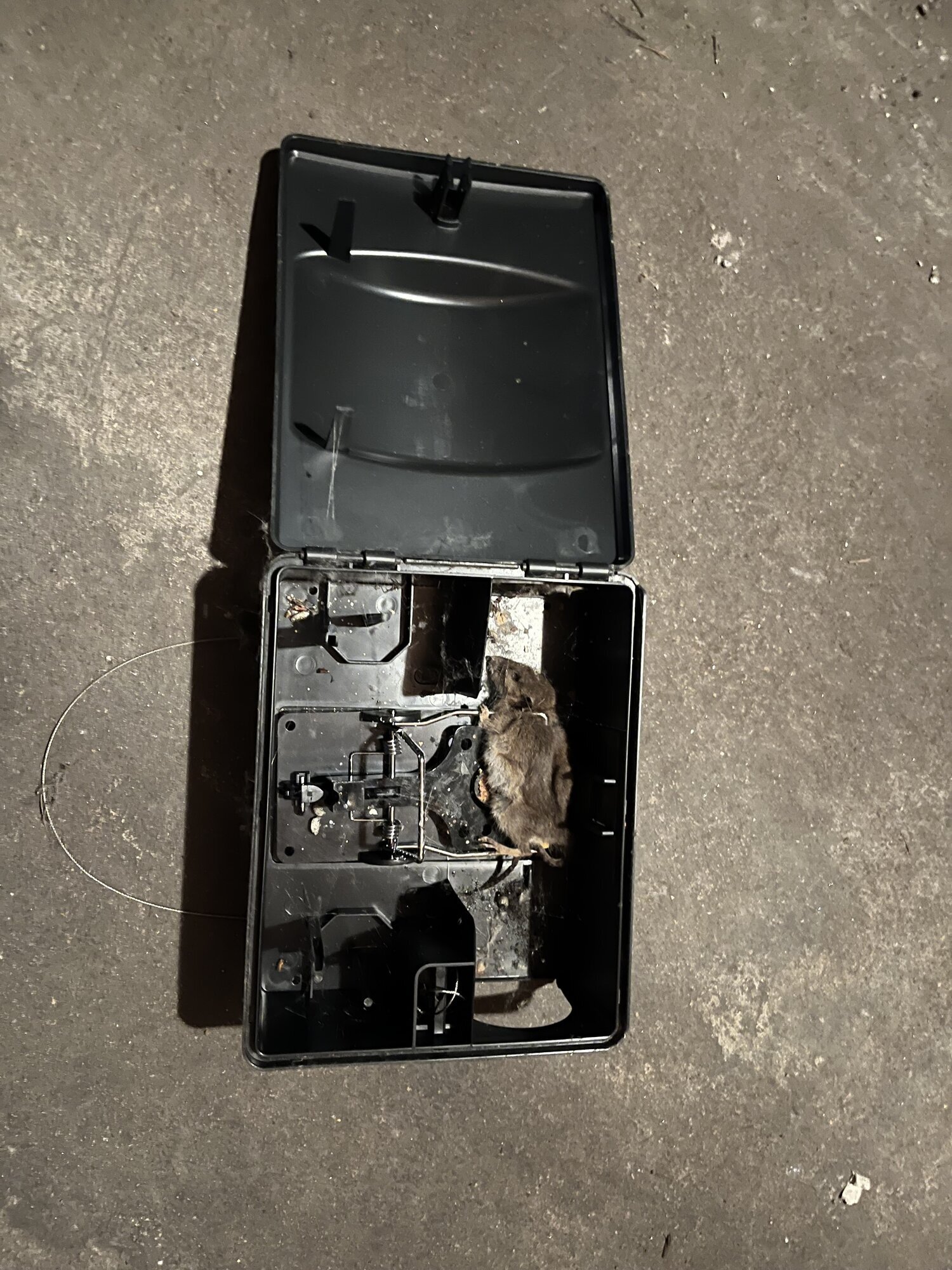 Miniature de la galerie