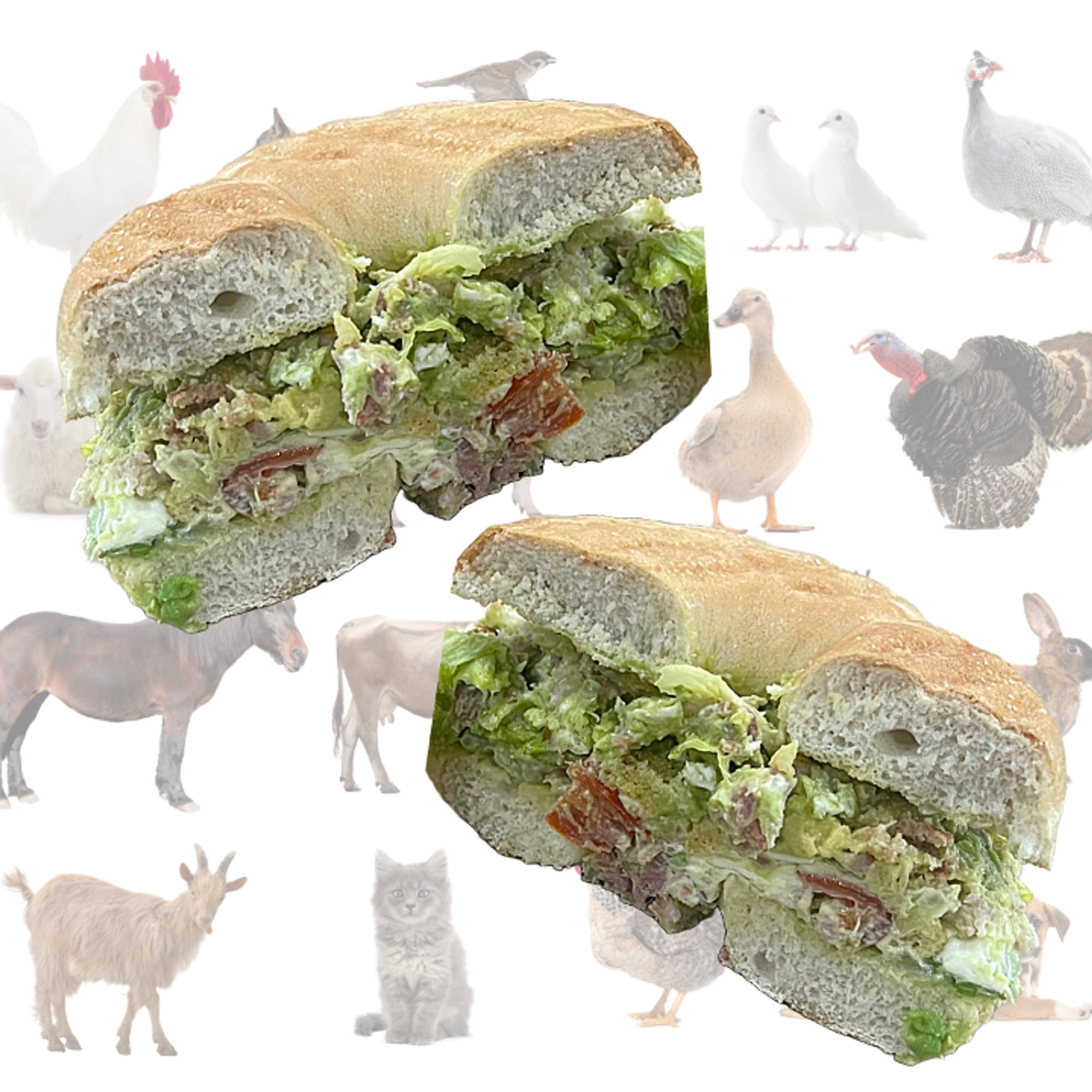 Oinker