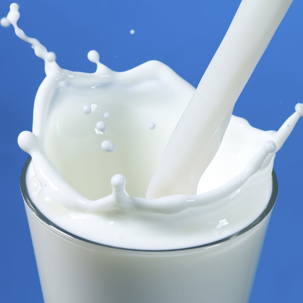 Milk - 12 oz