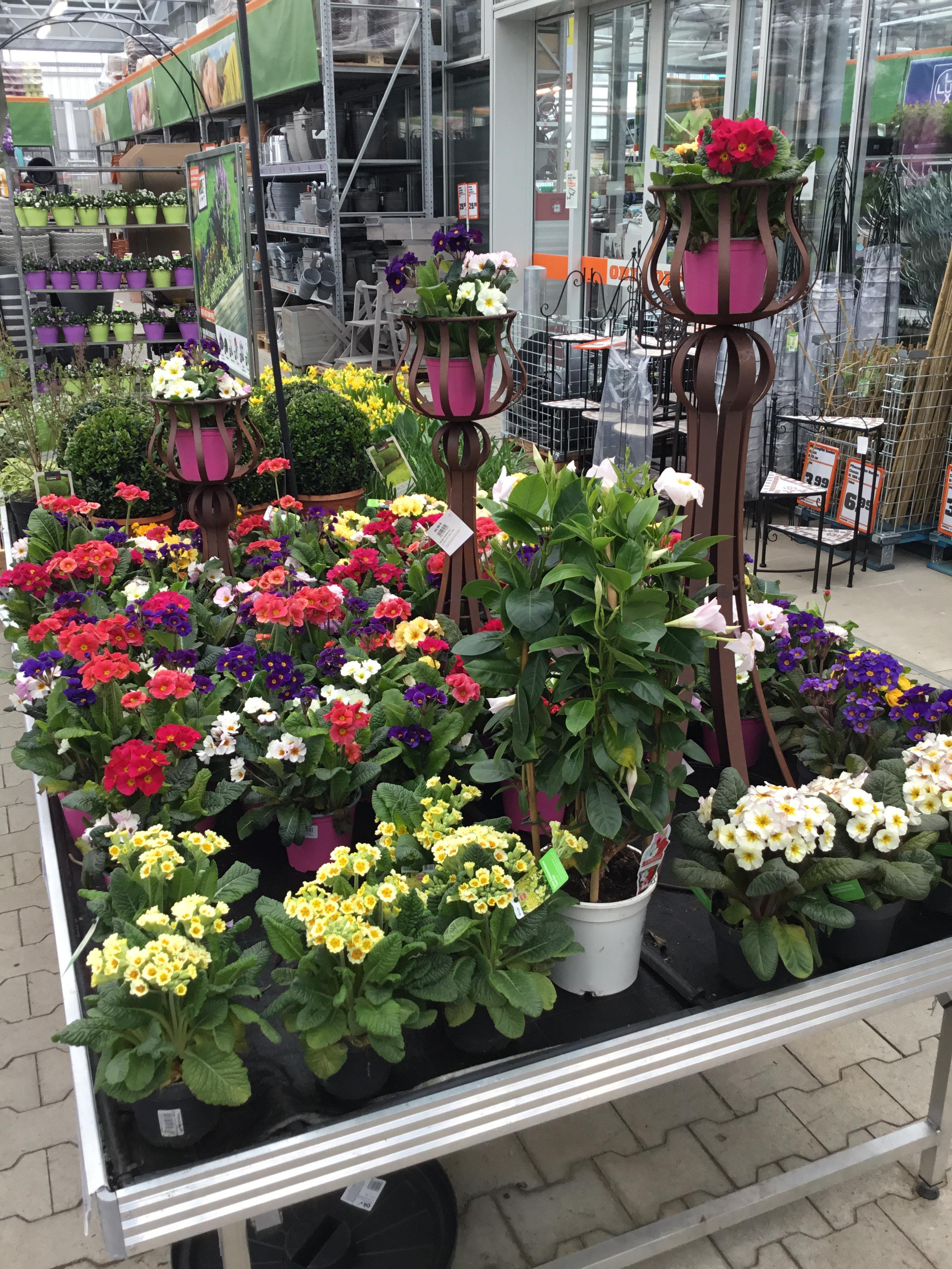 Bilder OBI Markt Freiburg Süd