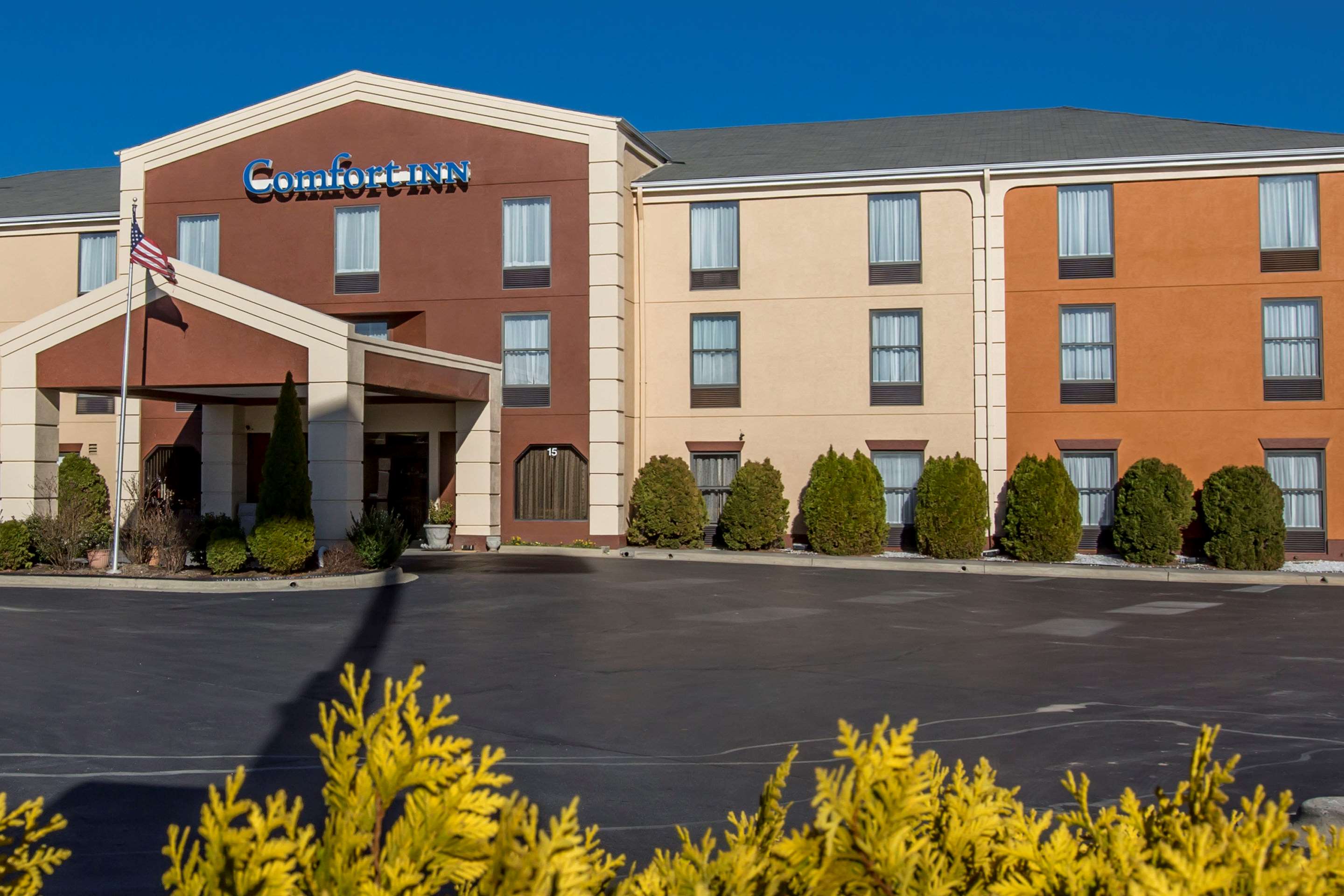 Comfort Inn Asheville Airport Photo