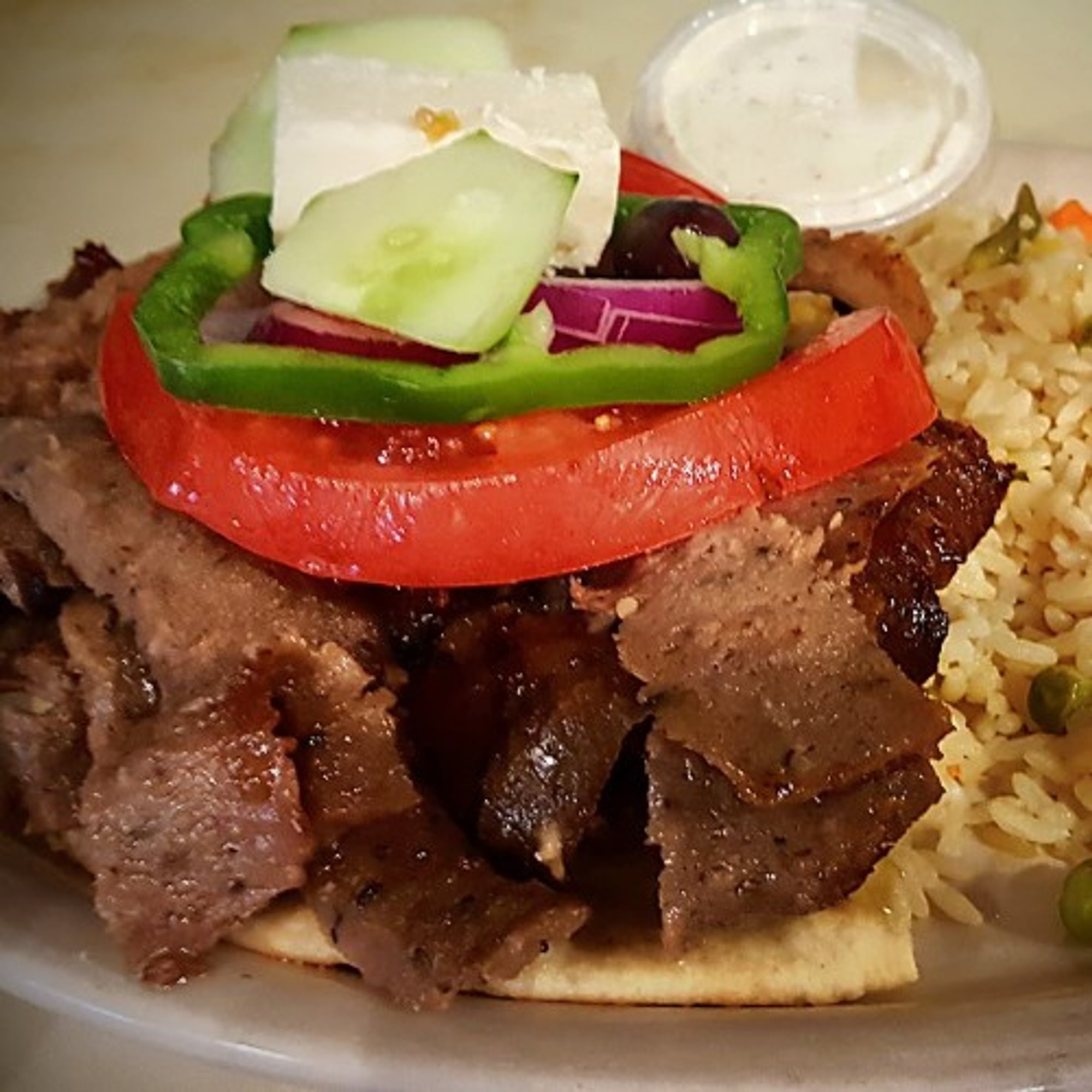Gyro Plate