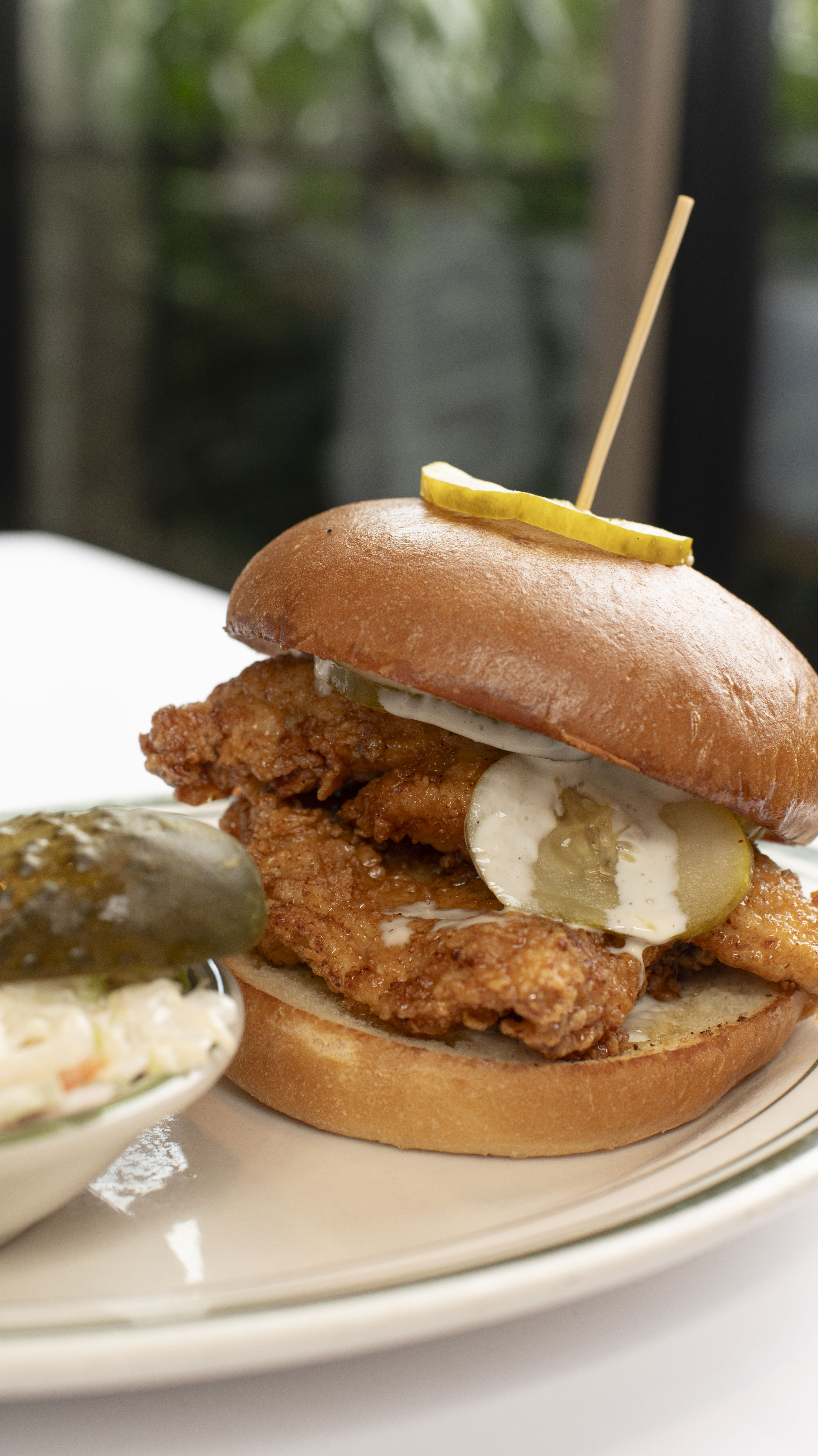 Chicken Sandwich