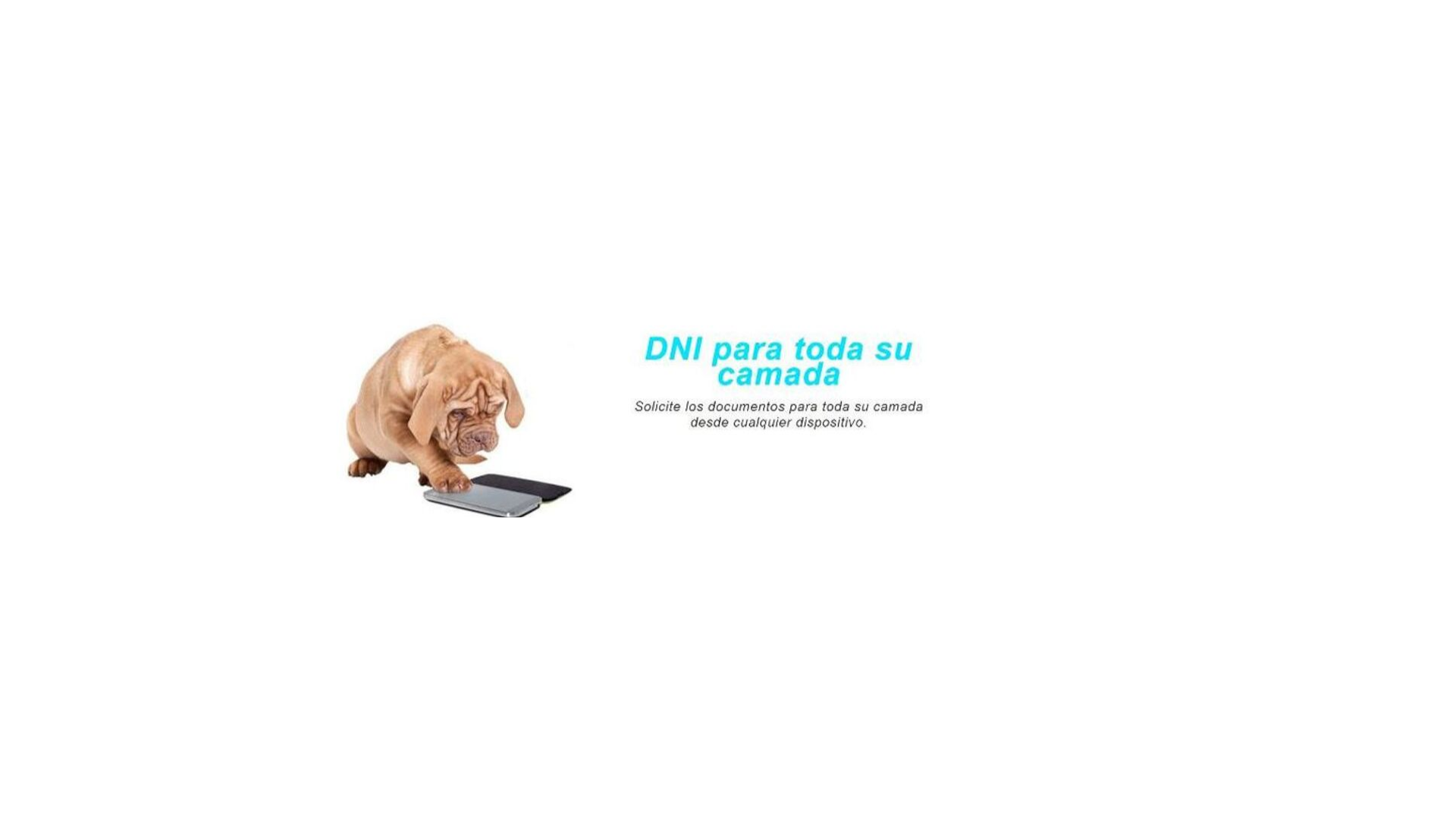 World Pets Peru Bongará