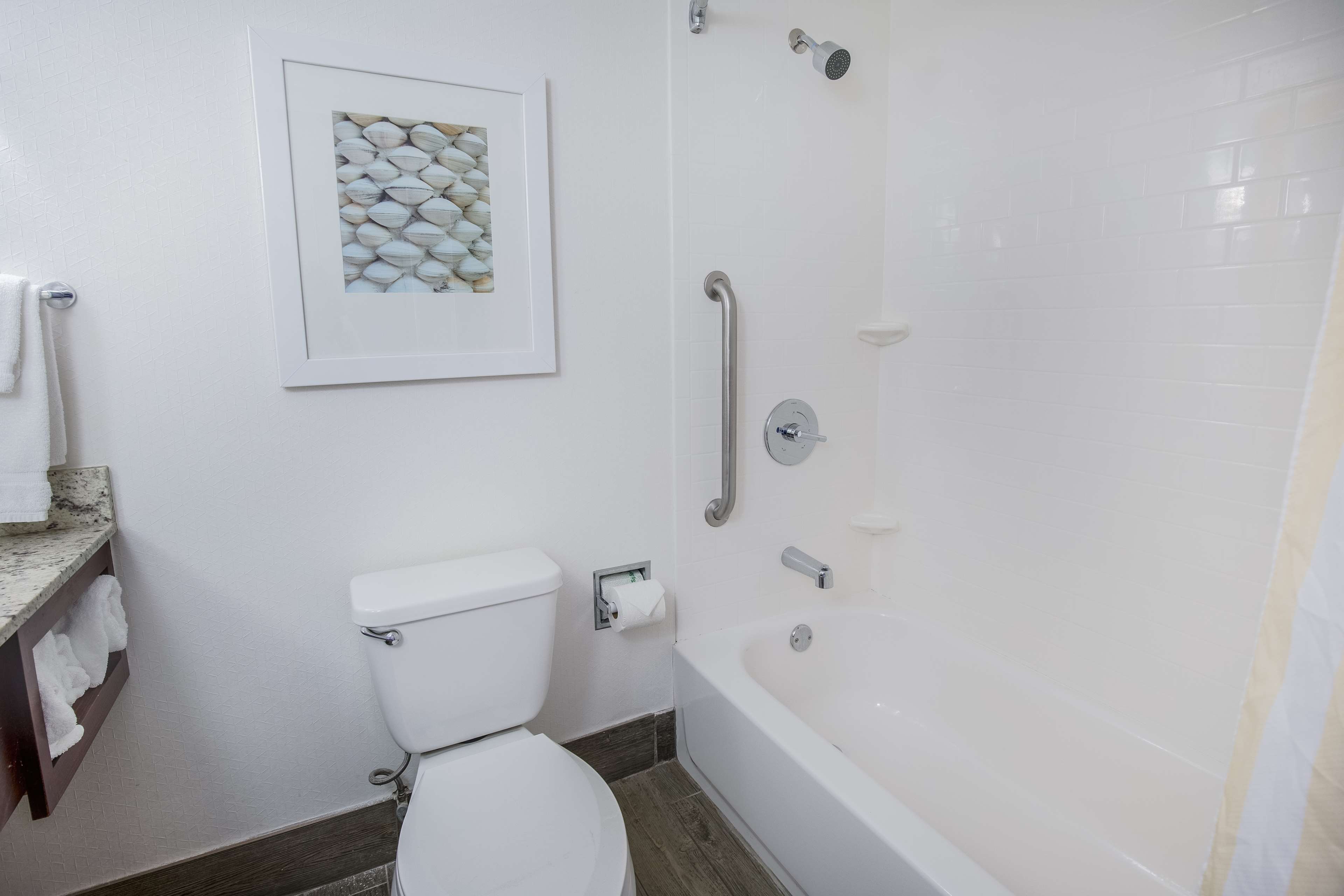 Guest room bath