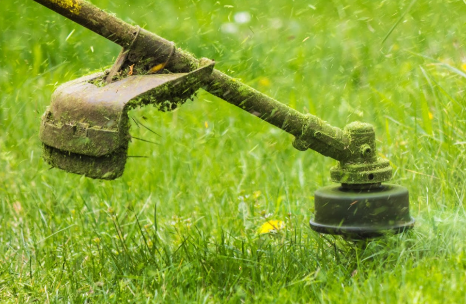 Napier Landscaping LLC Logo