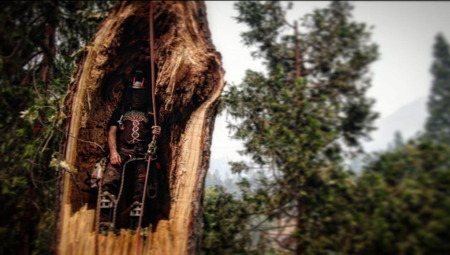 August Hunicke Arborists Inc. Image