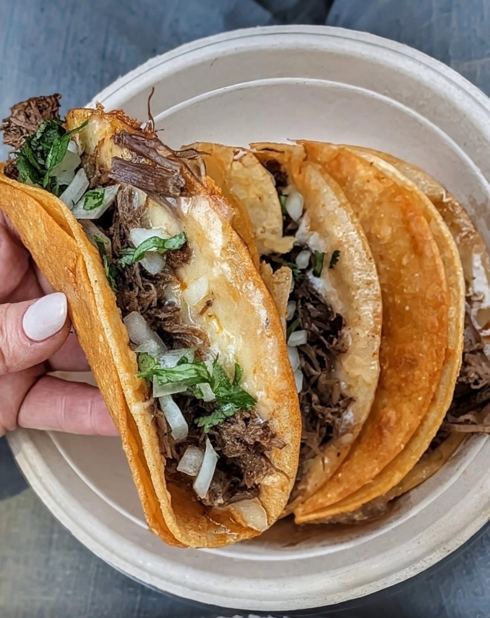 3 Birria Tacos