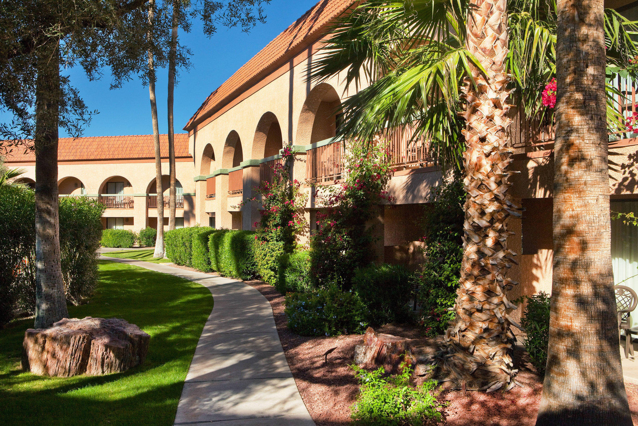 Four Points by Sheraton Tucson Airport Photo