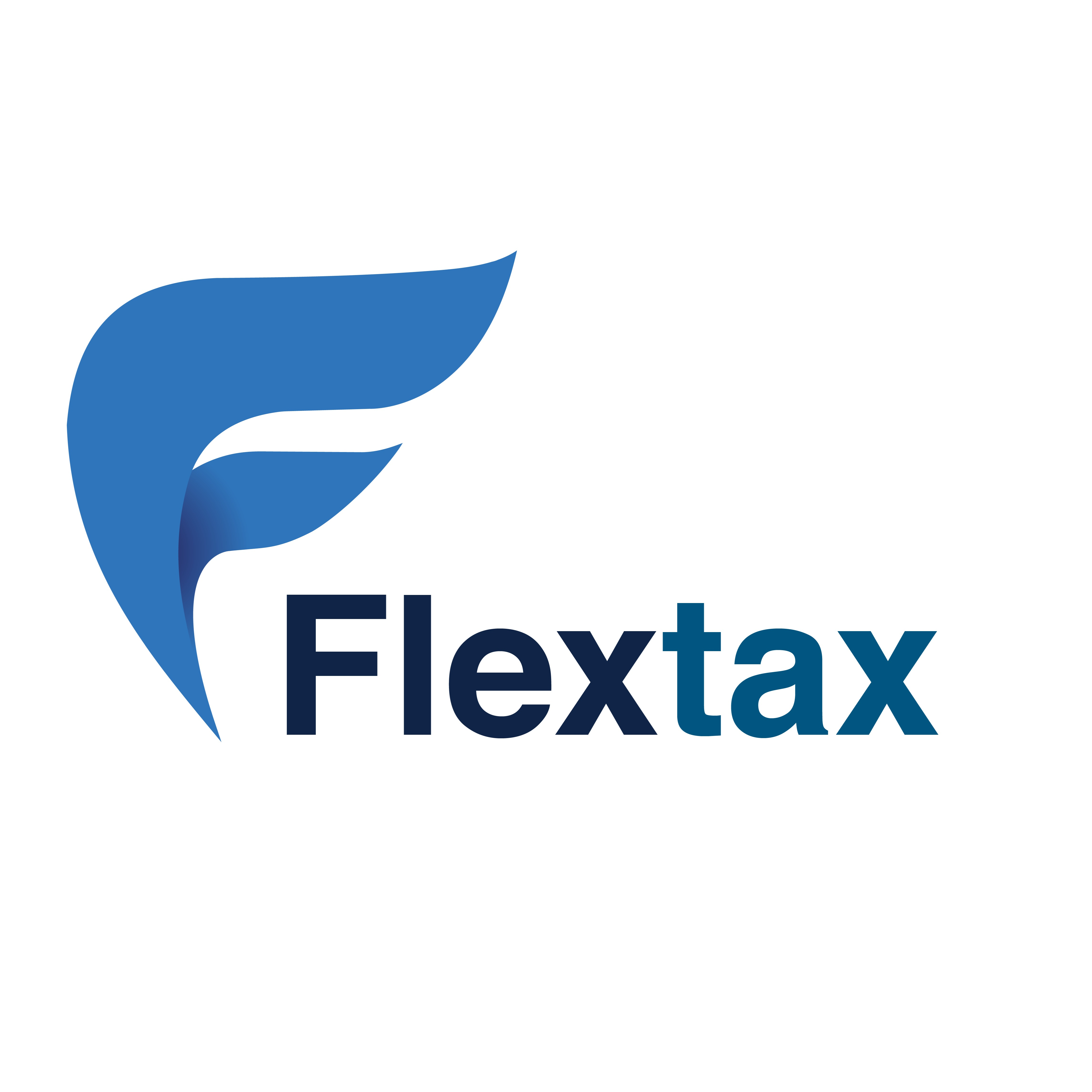 Flex Tax and Consulting Group