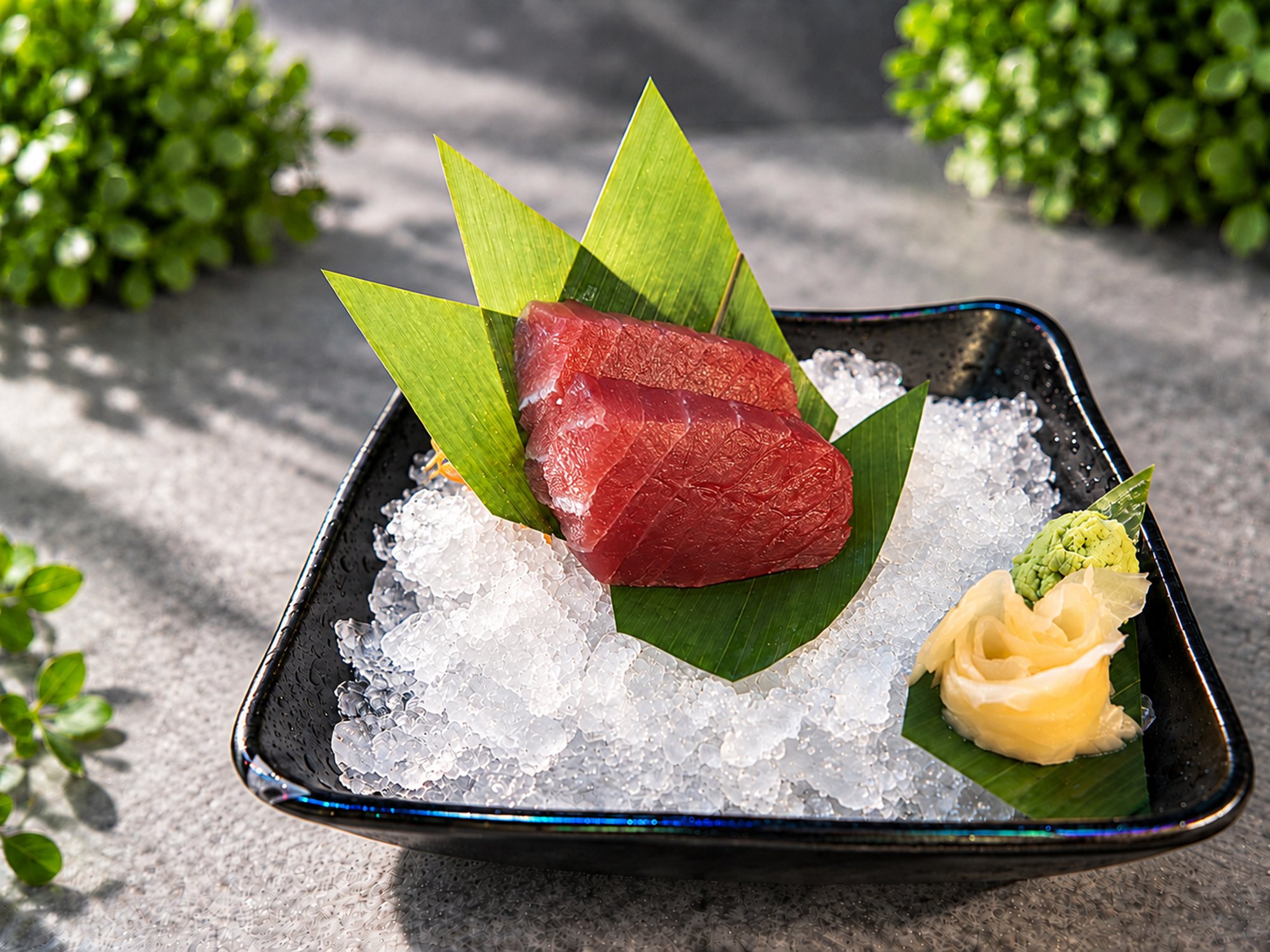 Tuna Sashimi