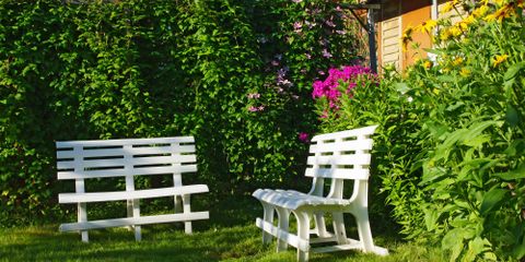 4 Tips for Landscaping a Shady Yard