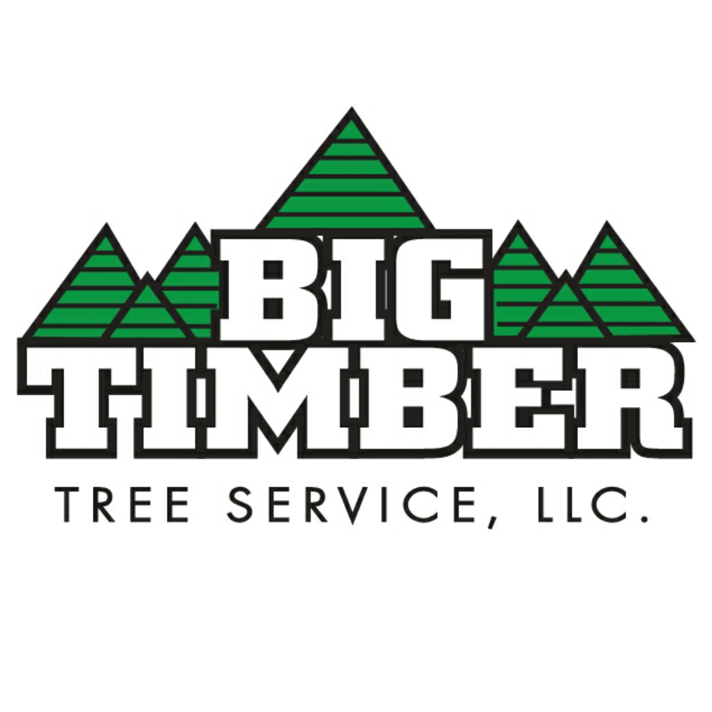 Big Timber Tree Service LLC