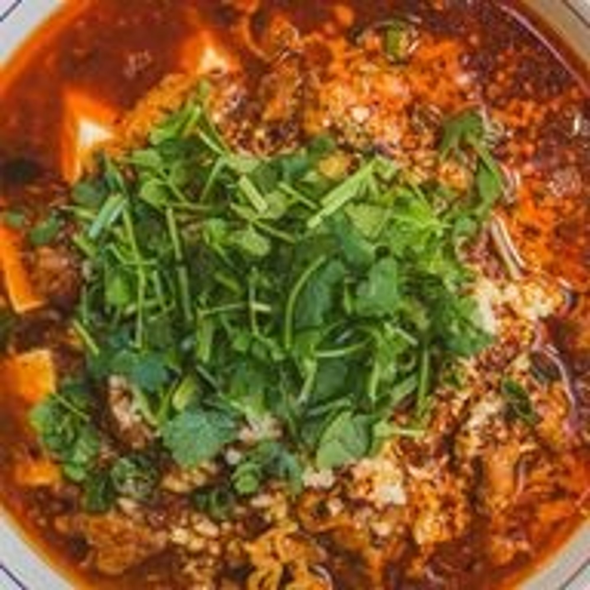Chicken Hot & Sour Soup