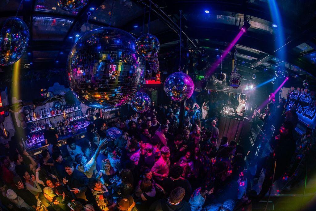 Zebbie's Garden Image