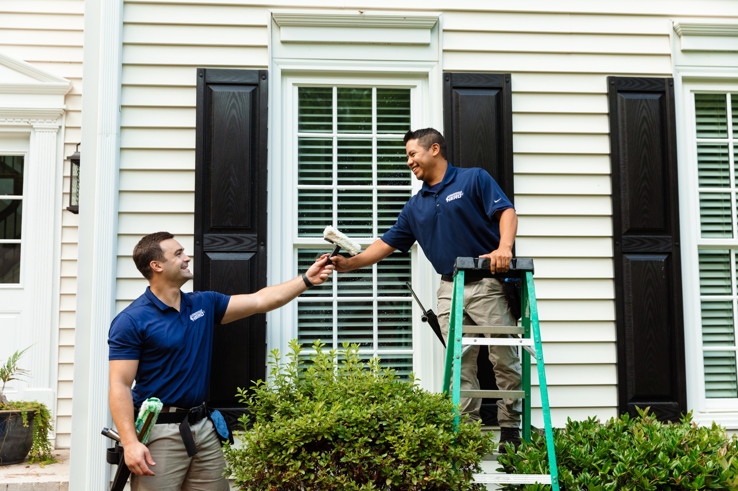 Window Hero Charlotte Image