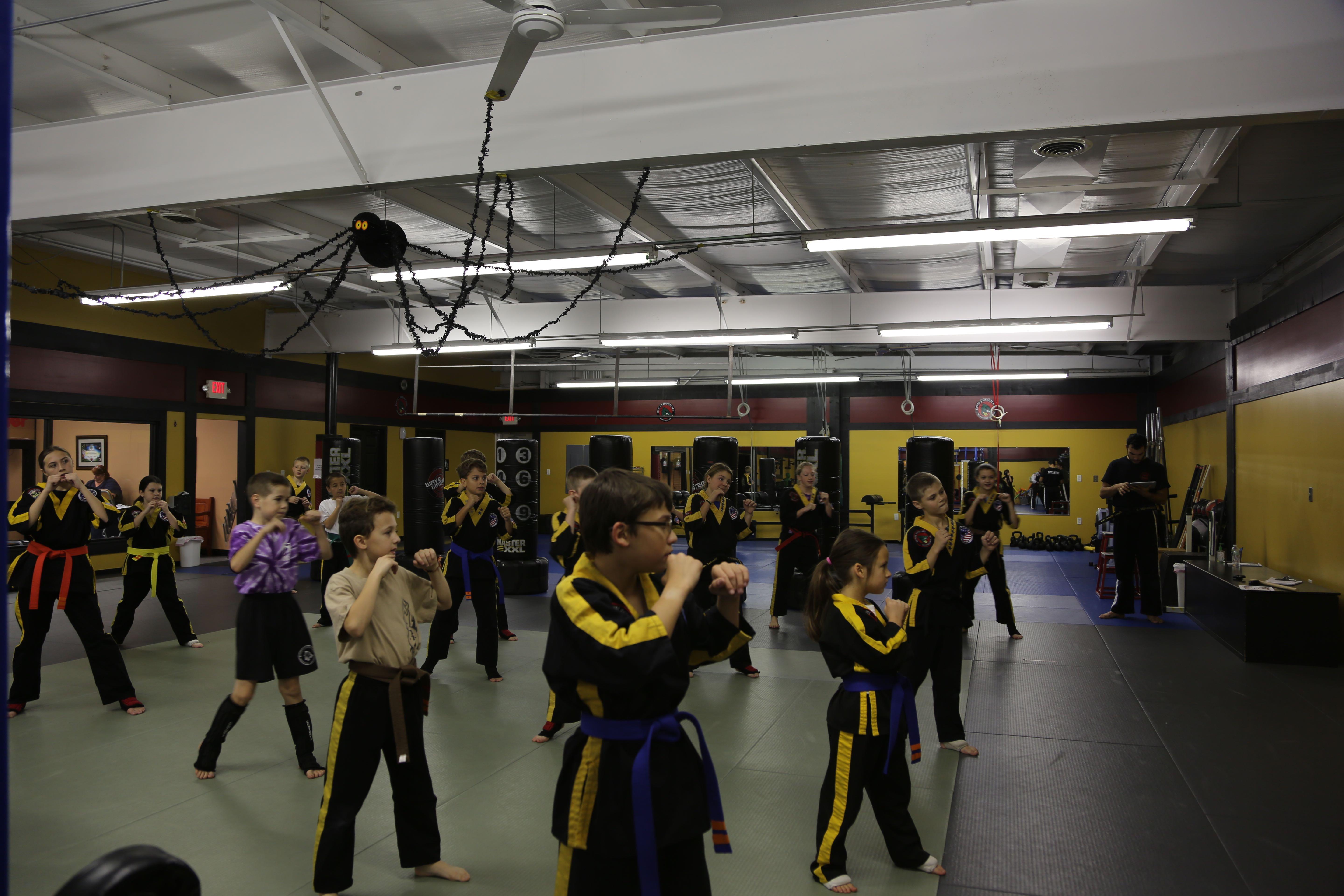 Martial arts shop coupon code