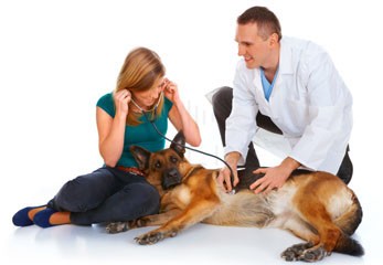 Acworth Animal Hospital Photo