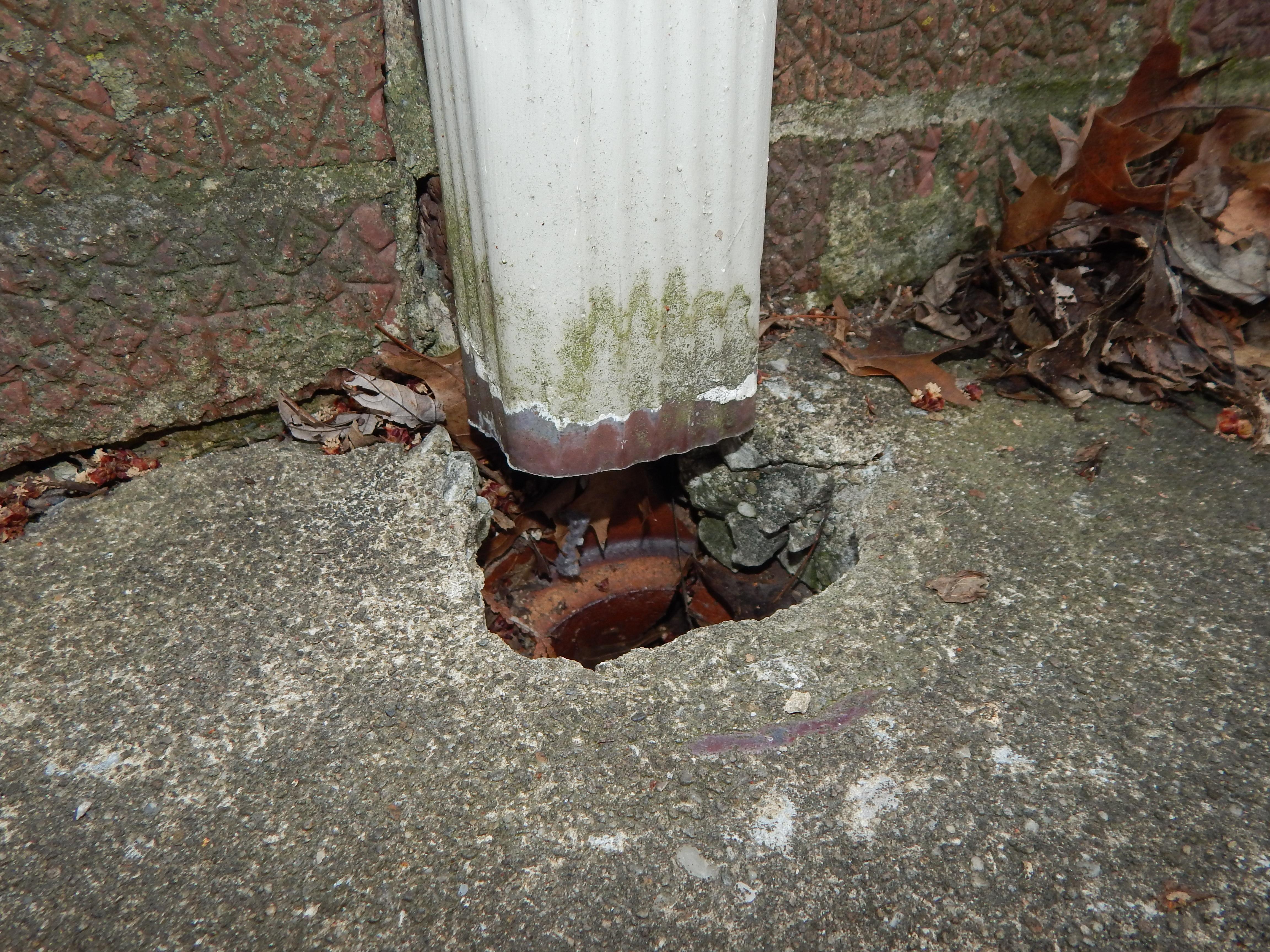 This damaged standpipe has allowed leaves and debris to enter and is now clogged. As a result, water flowing through the downspout will not be able to properly flow into the storm sewer. This condition is forcing a large amount of water to flow against the foundation wall which is causing water intrusion to occur in the basement. 