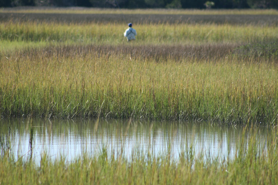 Point Hope Photo