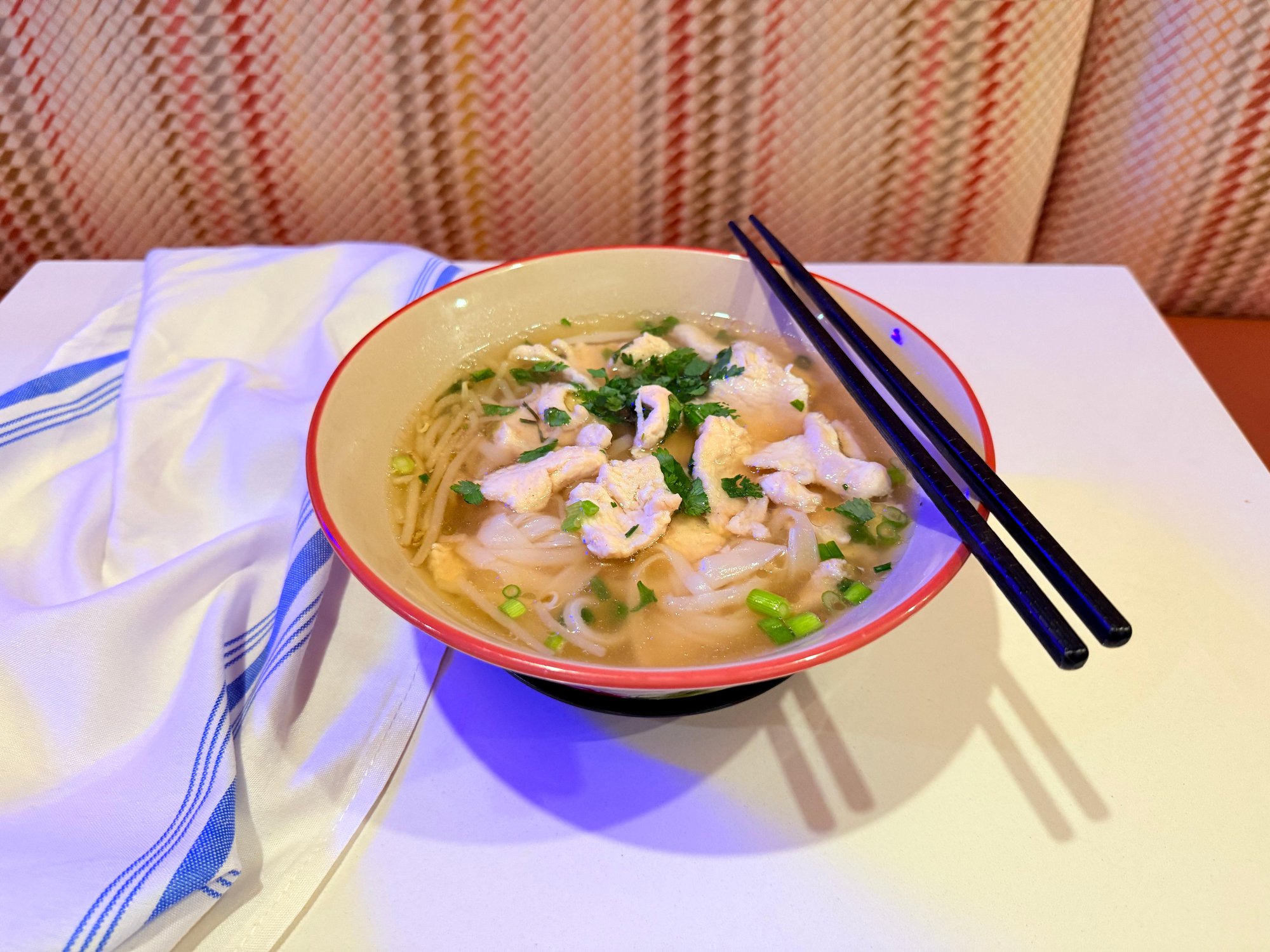 Chicken Noodle Soup