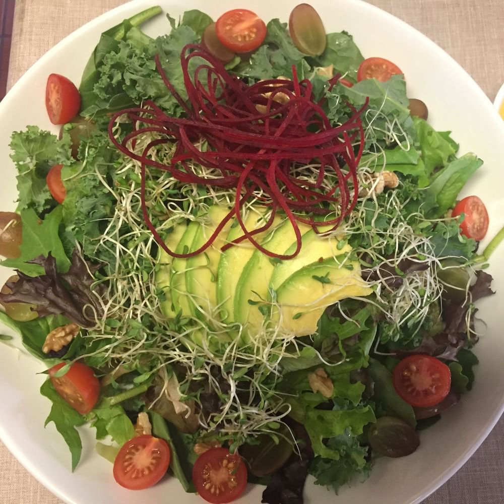 Synergy Salad