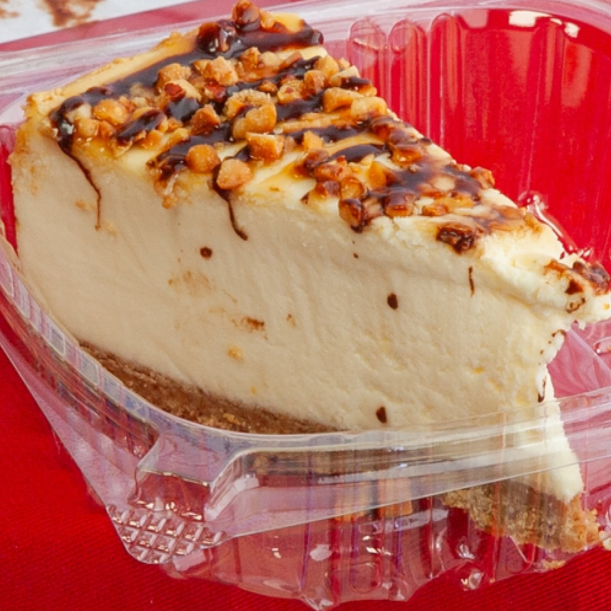 TURTLE CHEESECAKE SLICE