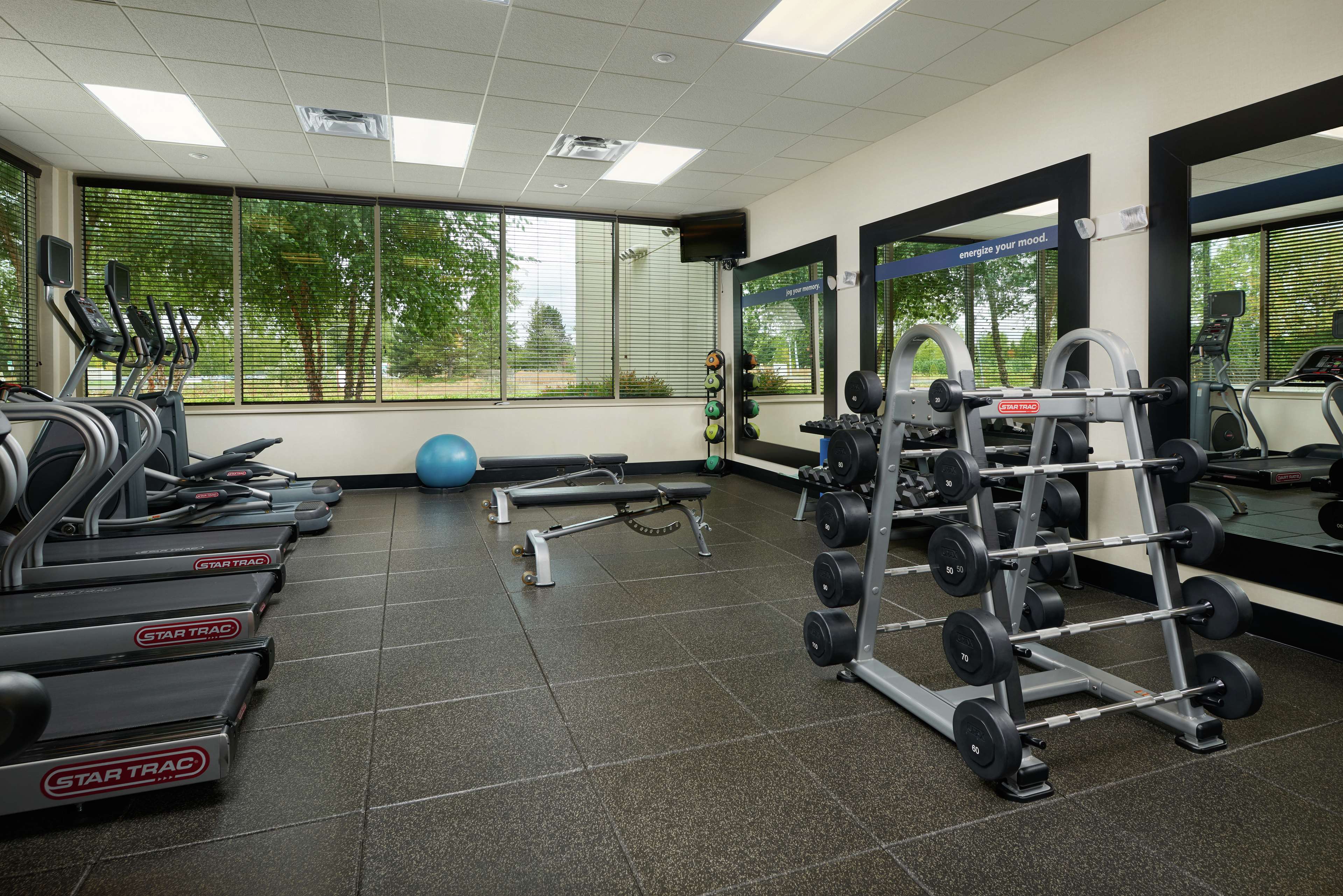 Health club  fitness center  gym