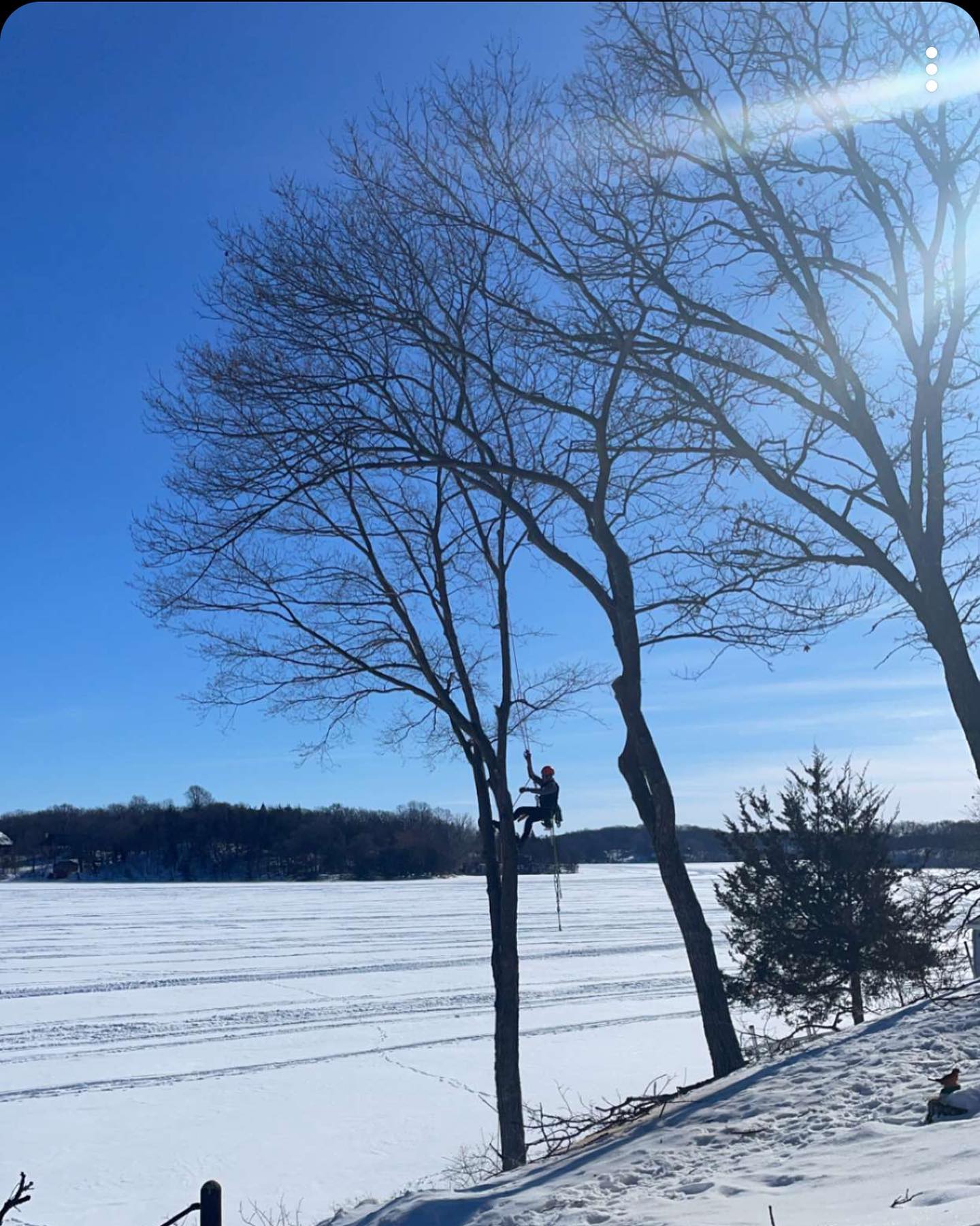 Norgren Tree Services Inc Image