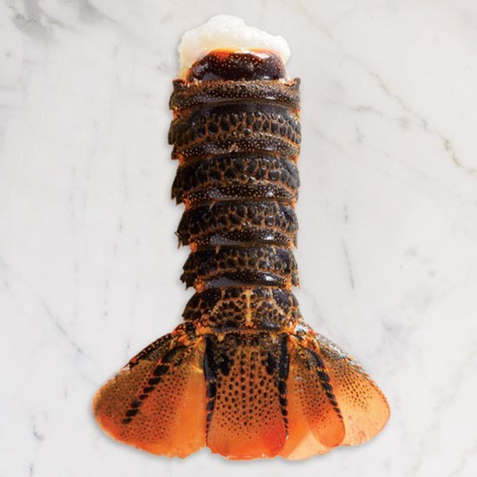 Maine Lobster Tails