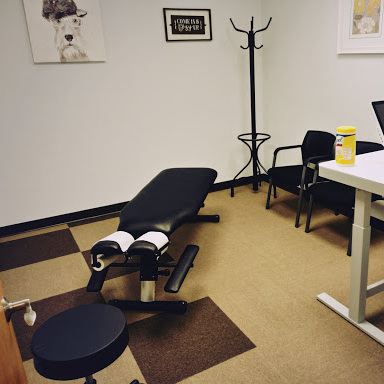 ChiroLouie Chiropractic and Wellness Center Photo