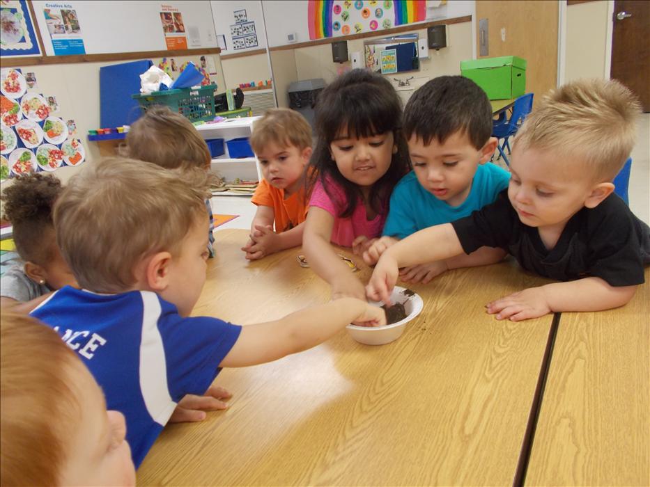 Brimhurst KinderCare Photo