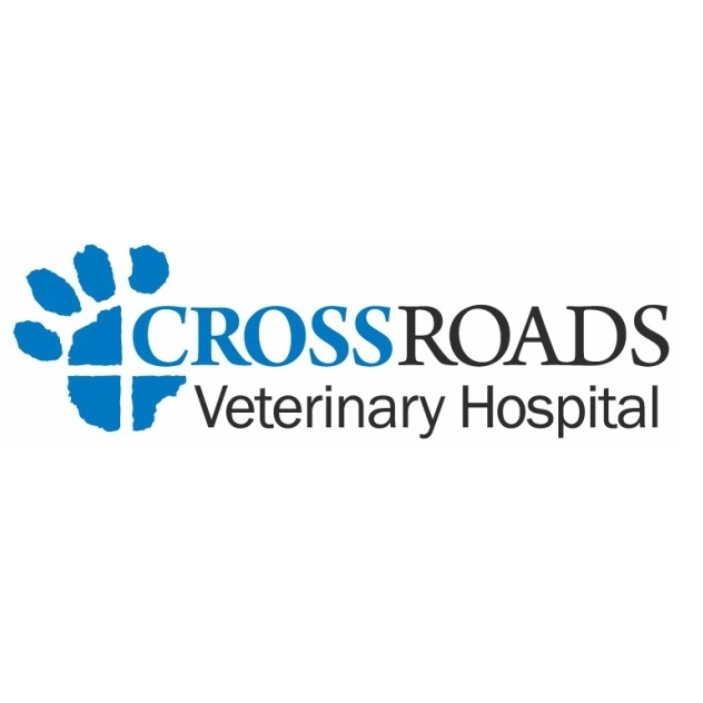 Crossroads Veterinary Hospital Photo