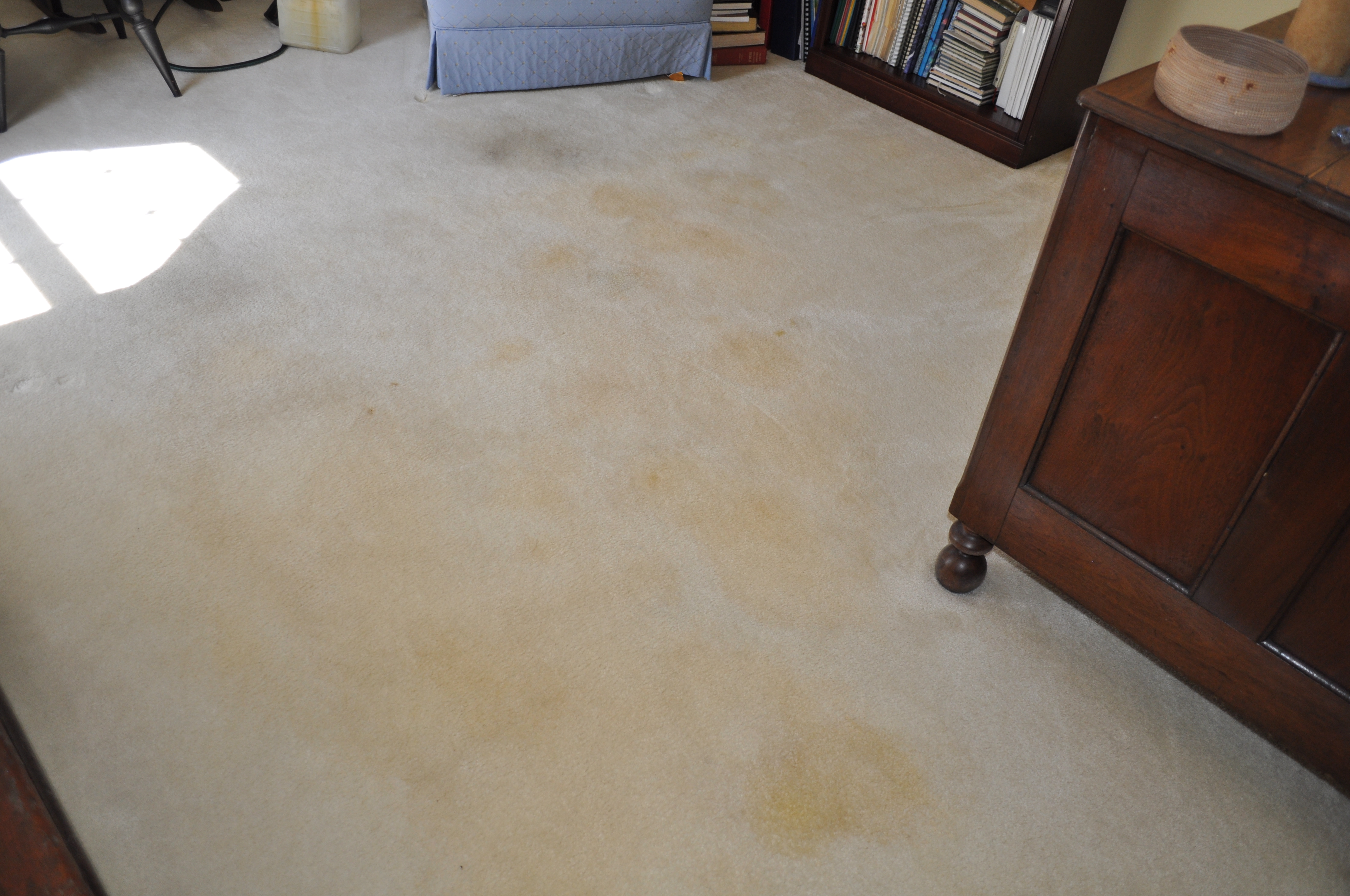 Superior Steam Cleaners Elkridge, MD Business Data