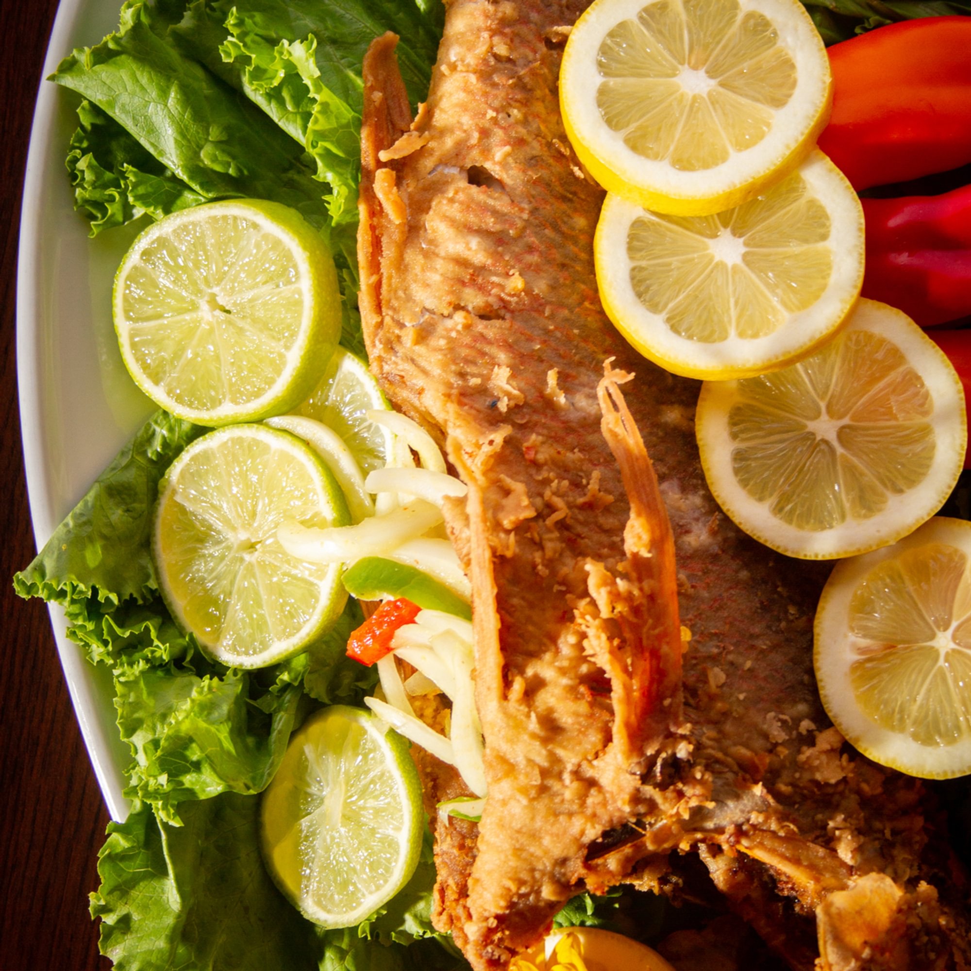 Med Snapper