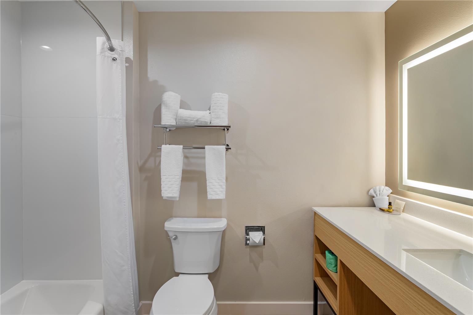 Best Western Plus Pearland/Houston Medical Center Hotel Image