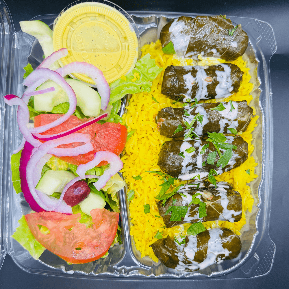 Stuffed Grape Leaves Plate (no cheese)