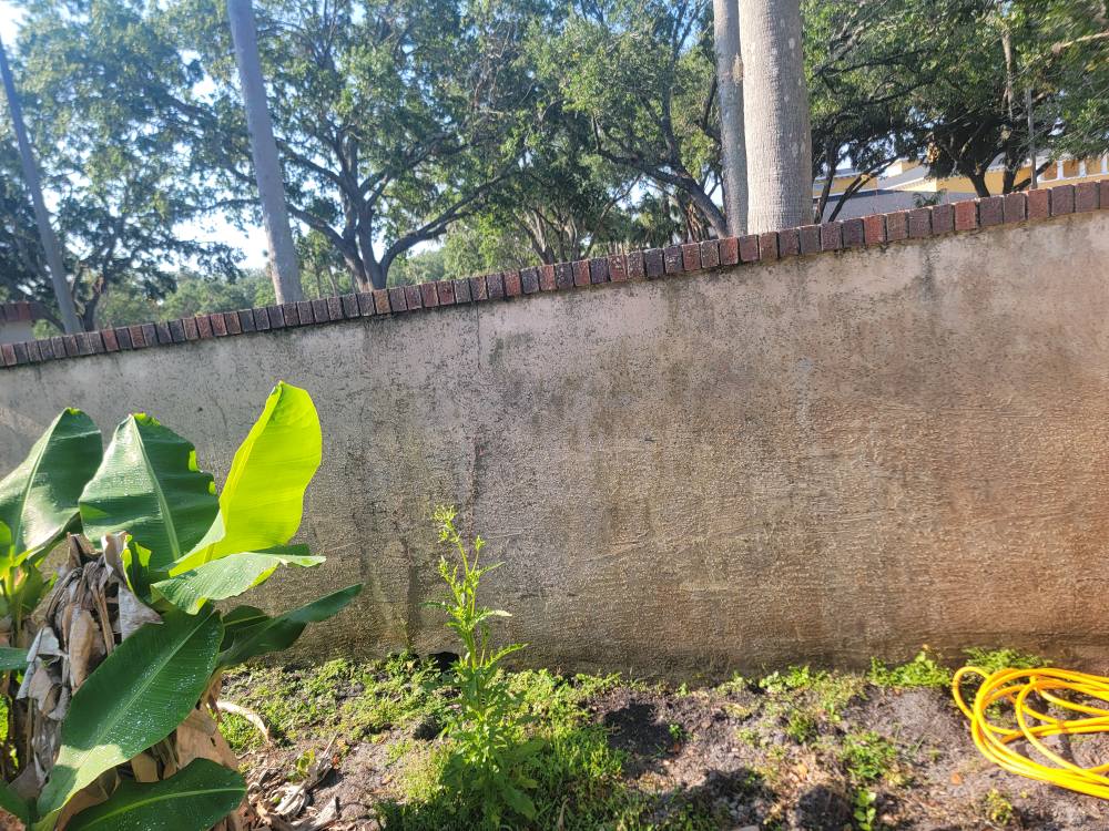 Window Hero Northern Tampa Image