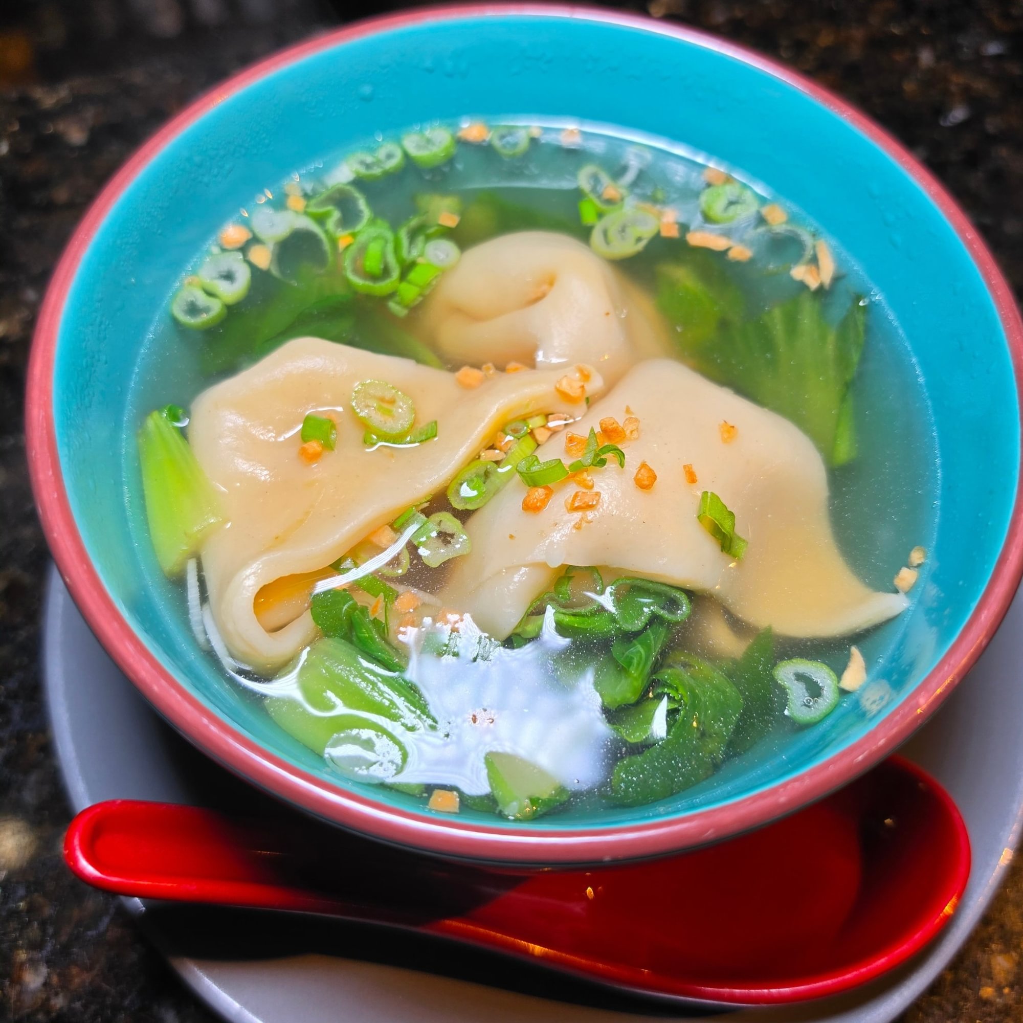 Chicken Wonton Soup