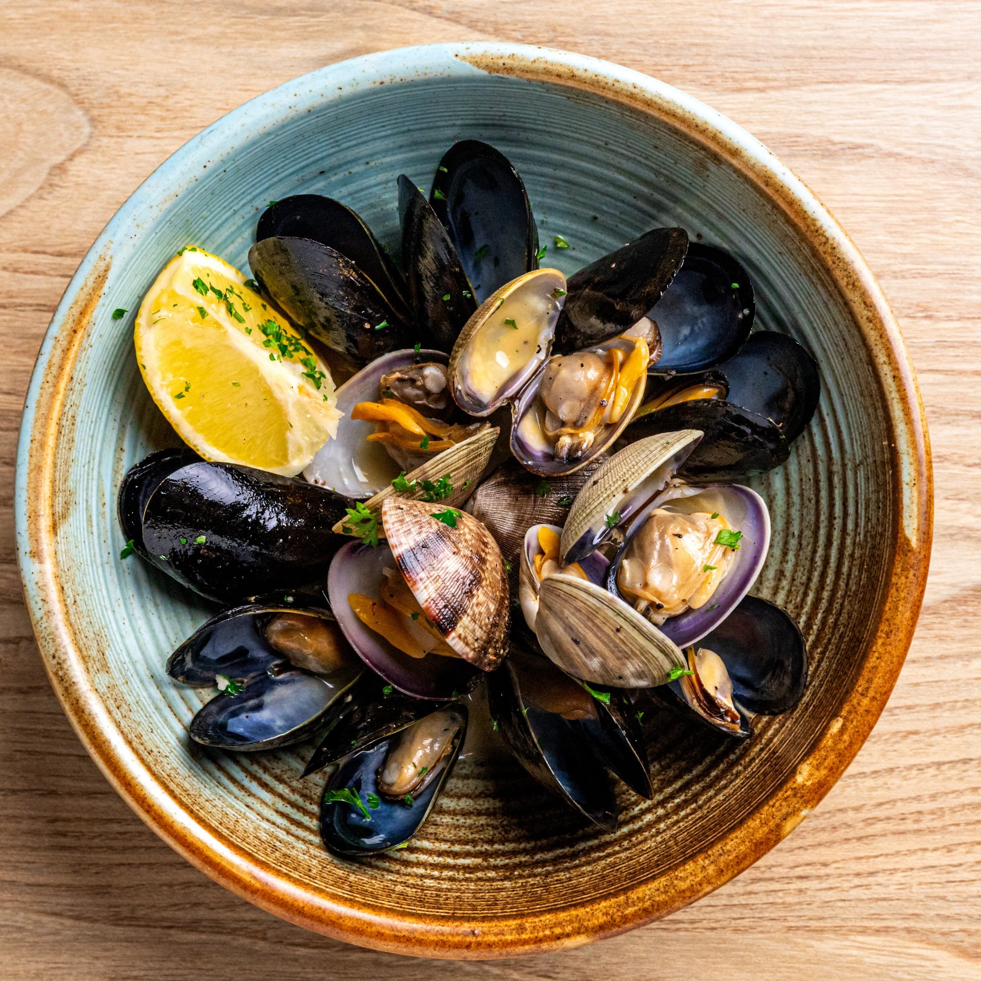 Clams & Mydia