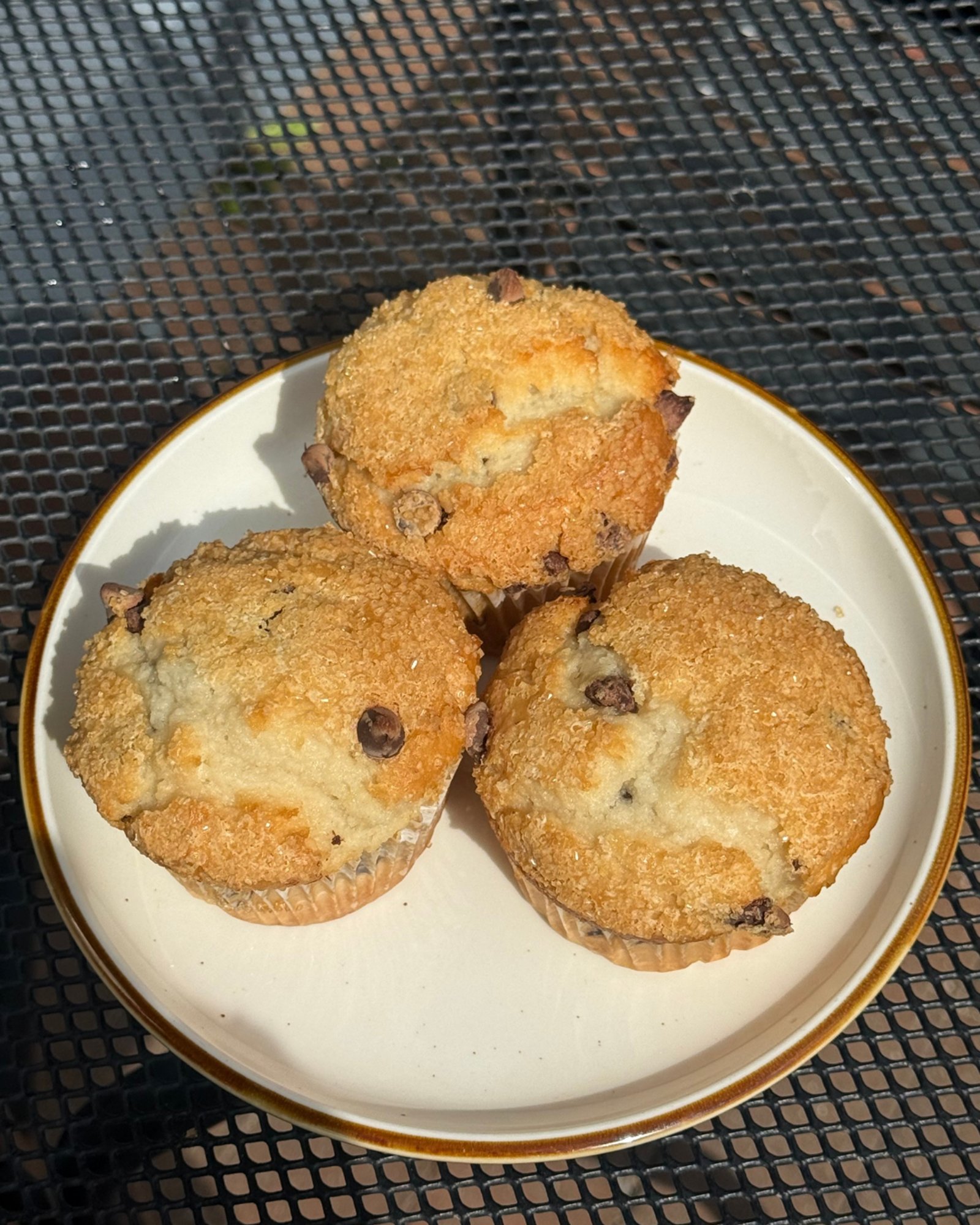 Chocolate Chip Muffin