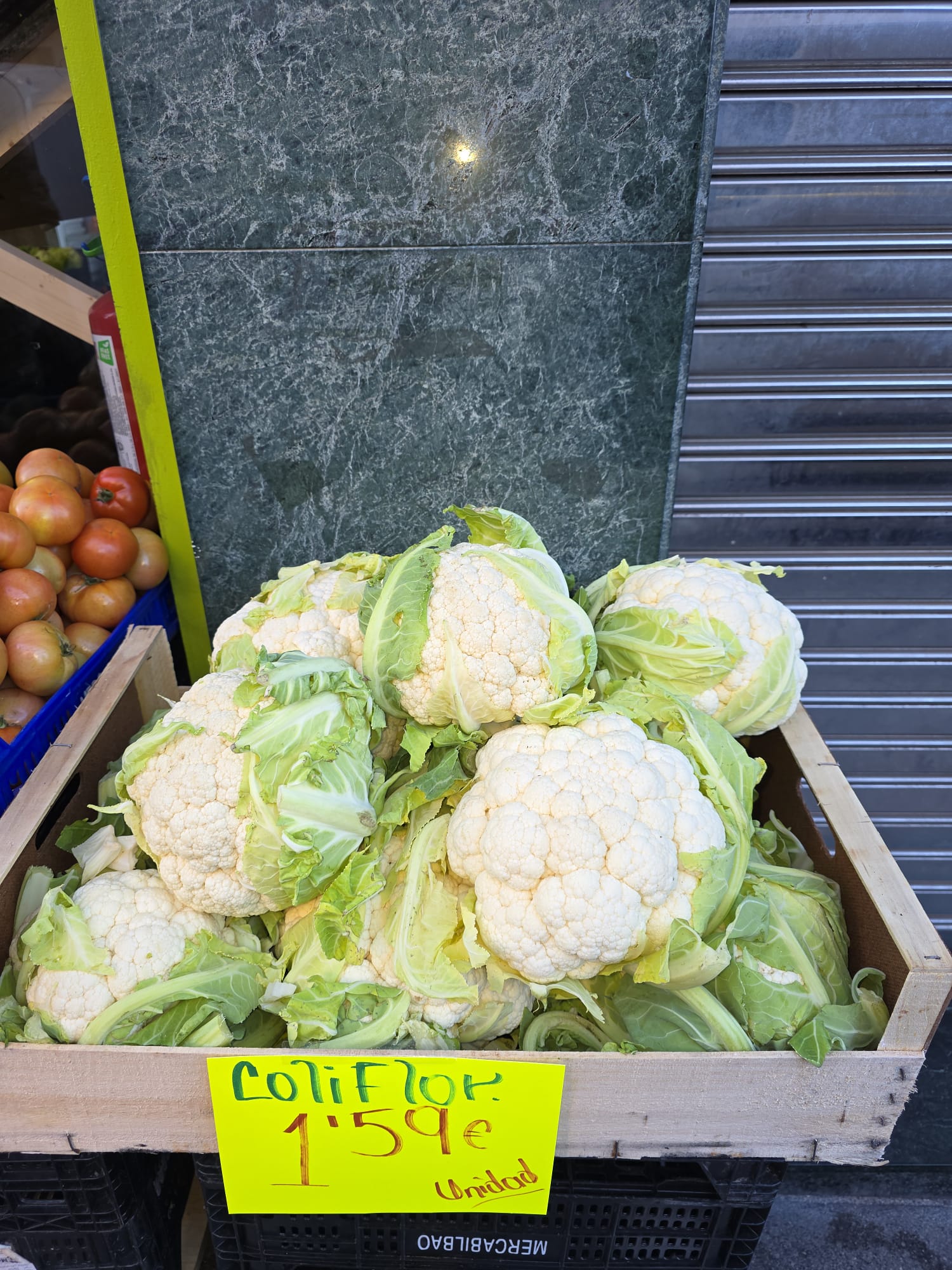 Galería en miniatura