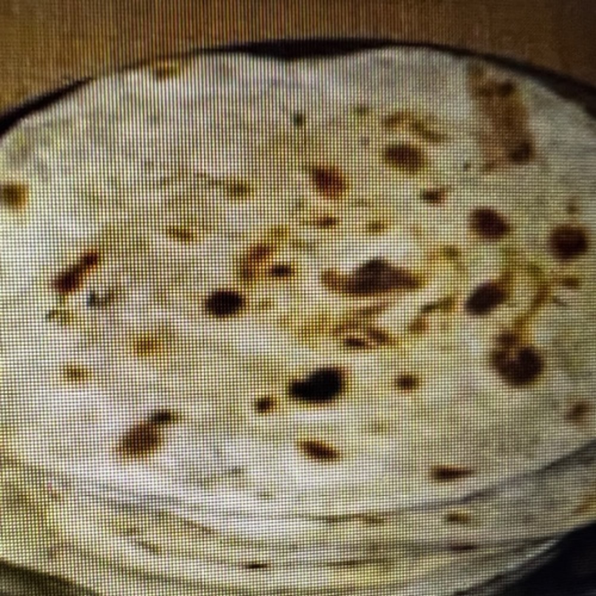 Tandoori Roti (V)
